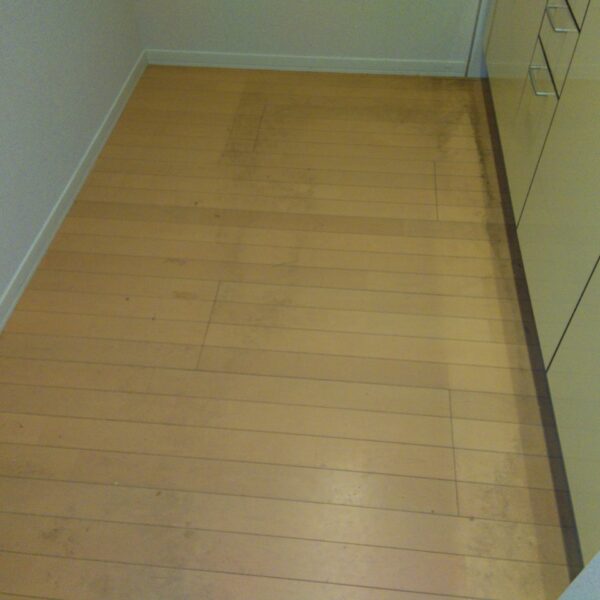 Before：東京都練馬区　築12年物件