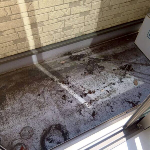 Before：埼玉県草加市　築8年