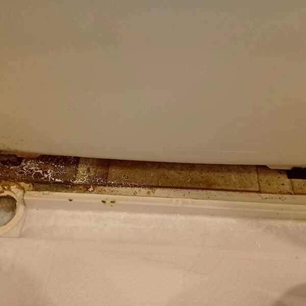 Before：東京都世田谷区　築10年